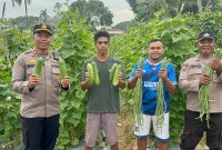 Kapolsek Ndona, I Gede Wisna bersama Warga dan Bhabinkamtibmas Polsek Ndona Saat Gelar Panen/Foto: FD