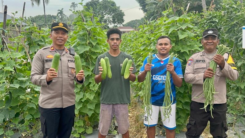 Kapolsek Ndona, I Gede Wisna bersama Warga dan Bhabinkamtibmas Polsek Ndona Saat Gelar Panen/Foto: FD