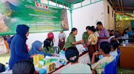 Tenaga Kesehatan tampak melayani masyarakat saat bakti sosial pengobatan gratis di Desa Wolotopo/Foto:FD