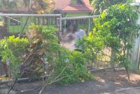 Kantor DLHD Kabupaten Ende, Tampak Disegel/Foto:AA