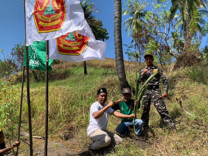 Aksi menanam  pohon kelapa oleh PAC GP Ansor Pulau Ende. Sabtu (16/08/2025). Foto:Tim