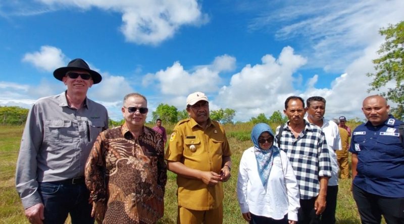 Bupati Sumba Timur Umbu Lili Pekuwali tinjau lokasi lahan Pongamia, Senin (20/4/2026).