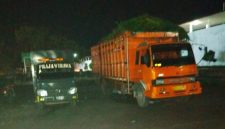 Truk pengangkut sapi saat ditahan sat Pol PP Ende/foto:Istimewa