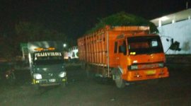 Truk pengangkut sapi saat ditahan sat Pol PP Ende/foto:Istimewa